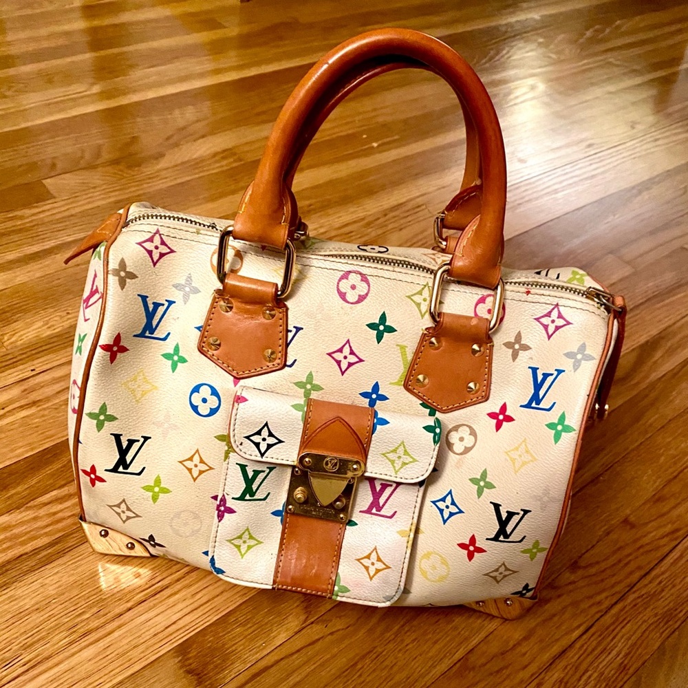 Louis Vuitton Colorful Speedy